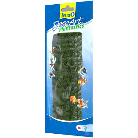 Tetra DecoArt Ambulia 2 (M) Растение аквариумное – интернет-магазин Ле’Муррр