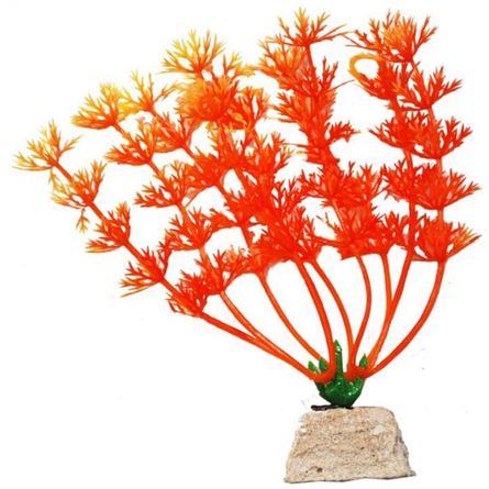 УЮТ Растение аквариумное Амбулия оранжевая – интернет-магазин Ле’Муррр